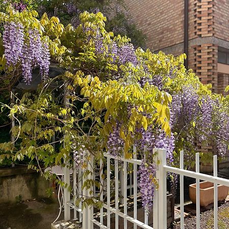 Vila Il Glicine - Monolocale A Due Passi Dal Centro Urbino Exteriér fotografie