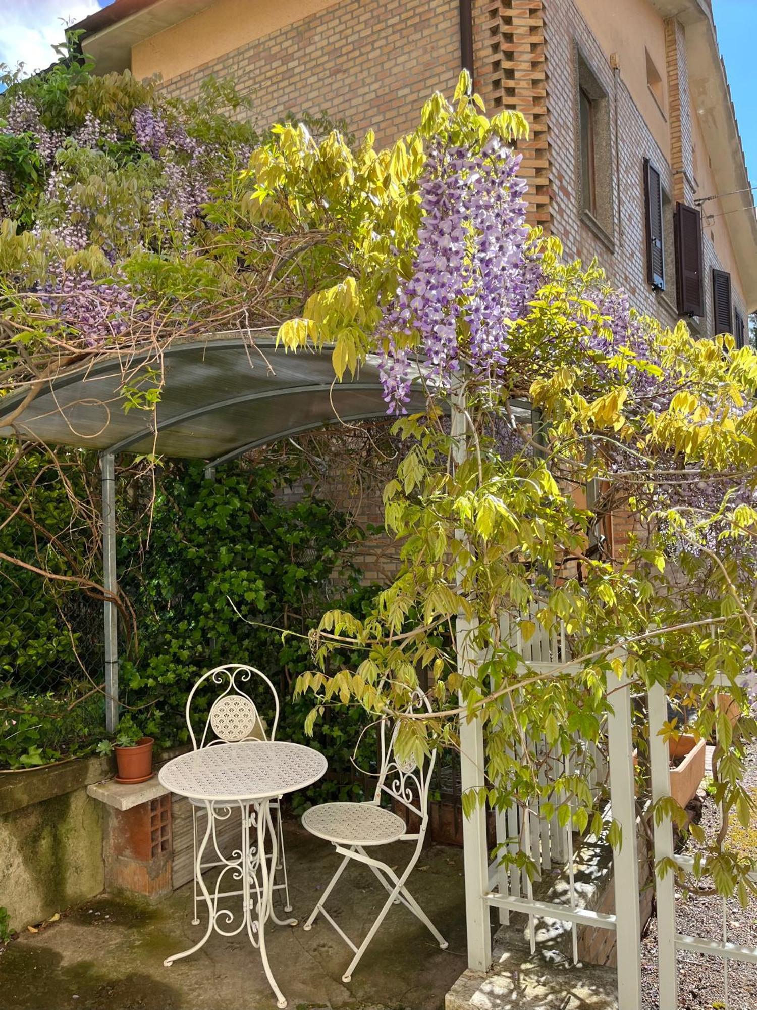 Vila Il Glicine - Monolocale A Due Passi Dal Centro Urbino Exteriér fotografie