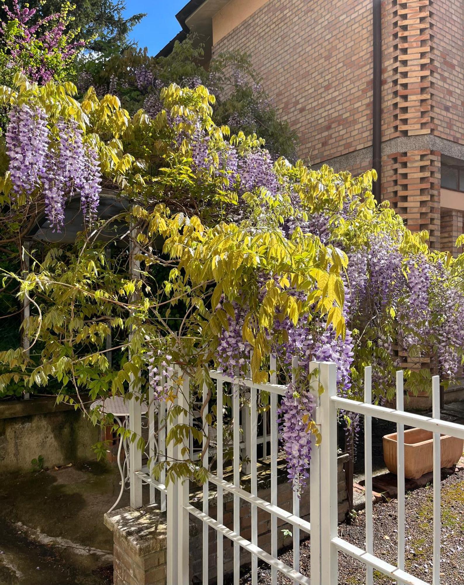 Vila Il Glicine - Monolocale A Due Passi Dal Centro Urbino Exteriér fotografie